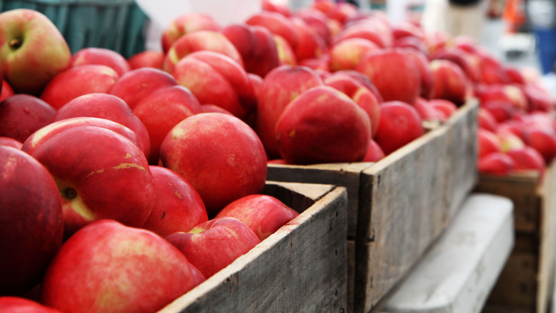 blog-farmers-market-peaches-2