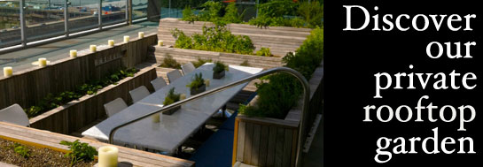 rooftopgarden2