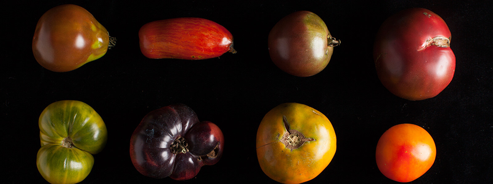 8 heirloom tomatoes.
