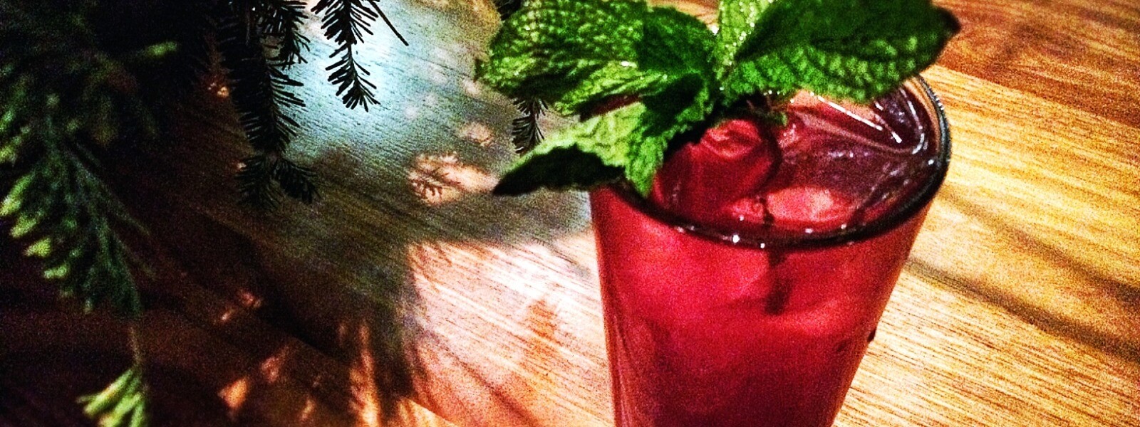 Santa Rose cocktail garnished with mint.