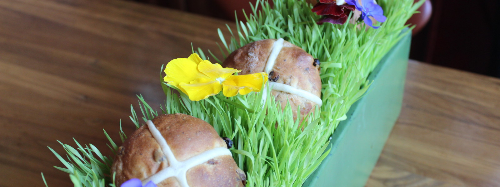 Hot cross buns ne a planter with grass and violets.