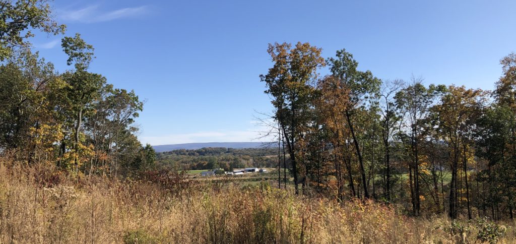 A view of the Hudson Valley and Sycamore Farms.